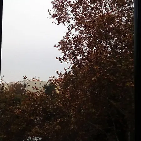 Simbioso *